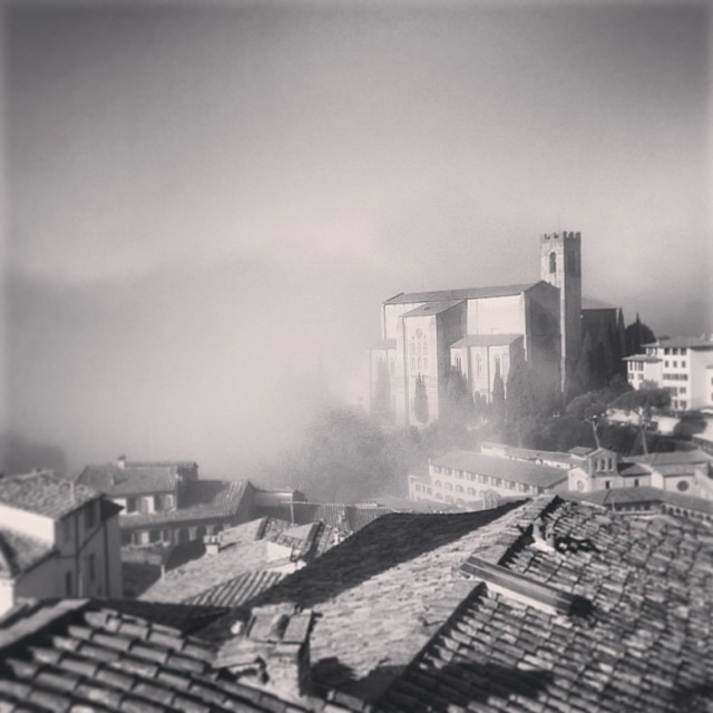 Siena Mornings  #siena #italy #view #fog #bnw #black #white #instagood #instalove #iphonesia #iphoneonly