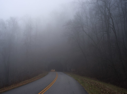 road trees mist car fog rural landscape automobile nebel scenic northcarolina tunnel headlights