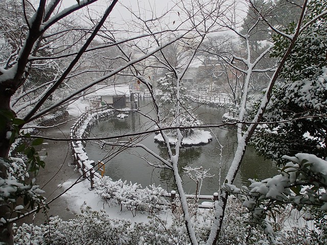 Nabeshima Koen - Winter