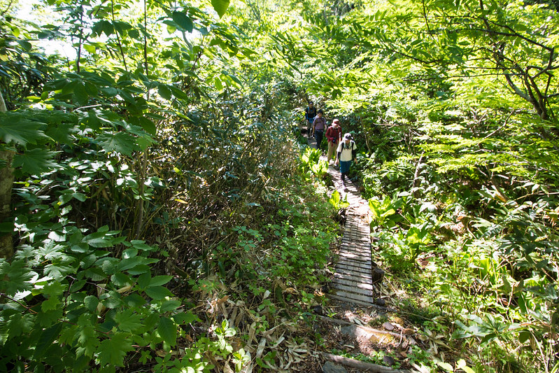 焼石岳 登山