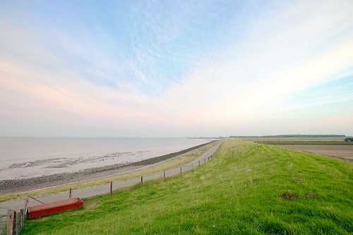 morning sea sky netherlands grass bicycle sunrise landscape sheep path nederland zeeland land streaks polder dike fietspad diek wesper westfeer