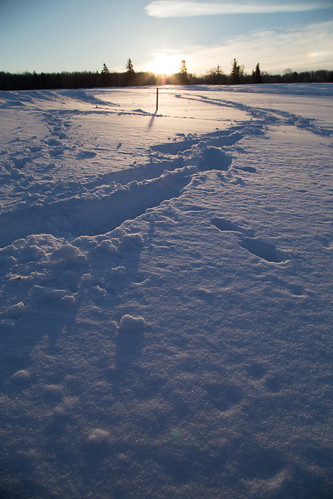 morning snow canada sunrise cornwall princeedwardisland footprint partsofaday weather气象 seasonsholidayspartsofaday