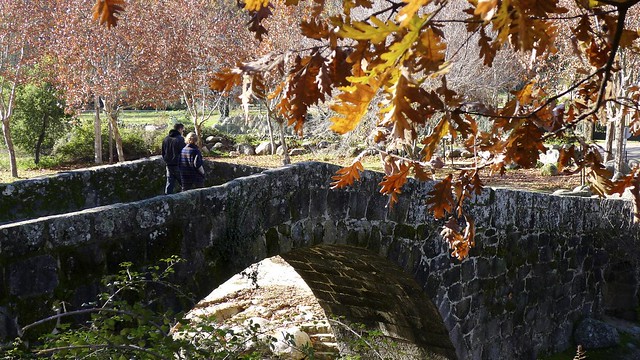 Puente y otoño