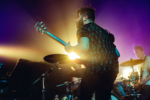 Foals