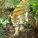 Flickr photo 'Puma (Puma concolor)' by: Bernard DUPONT.
