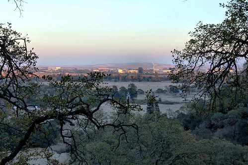 northerncalifornia dusk oaktrees fairfieldca solanocounty californiaoak rockvillehillsregionalpark