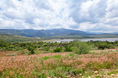 Altos de Jalisco - México 2012 1484 med