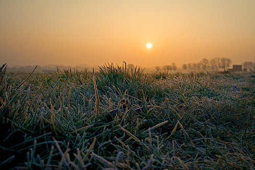 sony alpha a7r zeiss 35mm f28 prime lens sunrise night frost gras germany explore explored