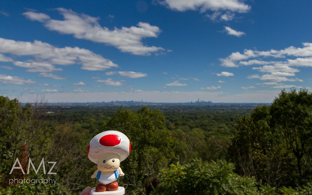 Toad likes the views of NJ