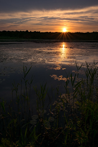 sunset sky lake reflection water vertical landscape us newjersey pond unitedstates nj lilypads helmetta helmettapond