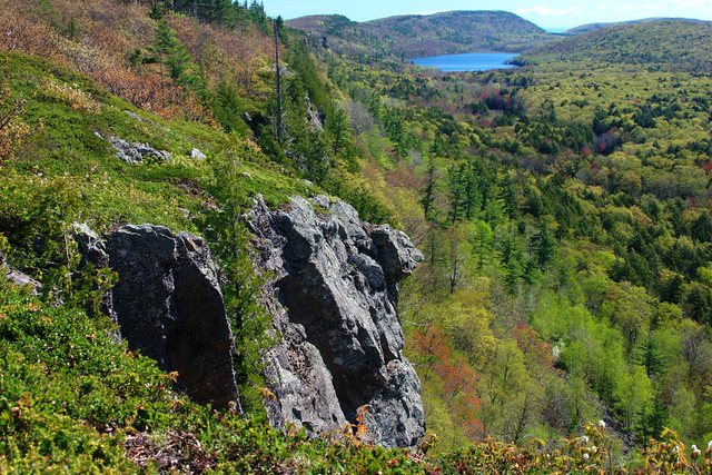Escarpment View