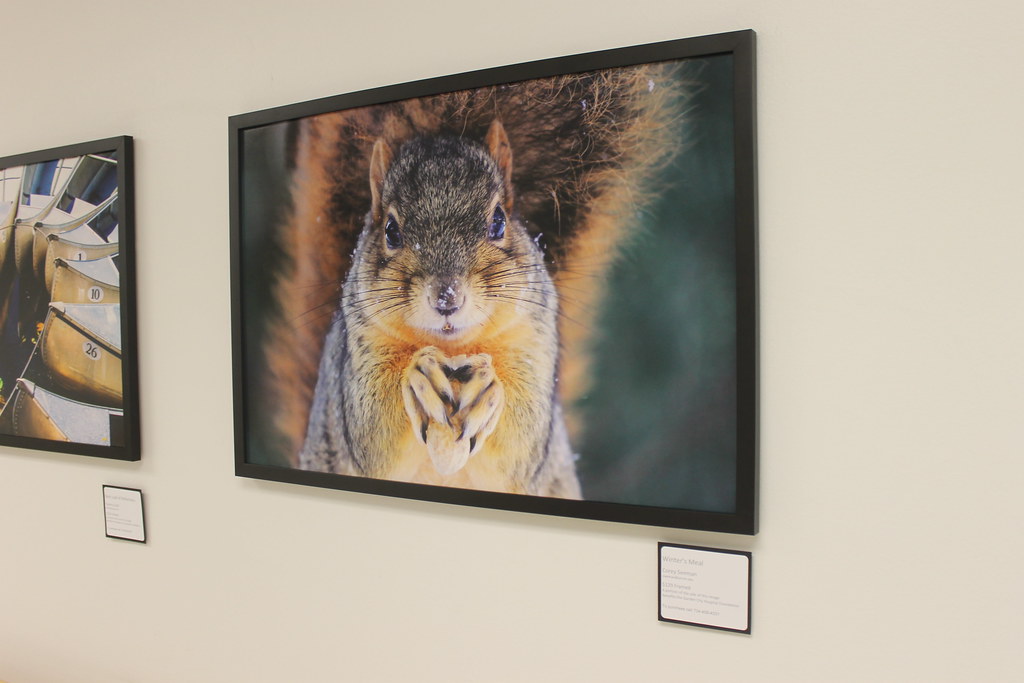 Hanging Of The 2014 Spring Exhibit At The Garden City Hosp Flickr