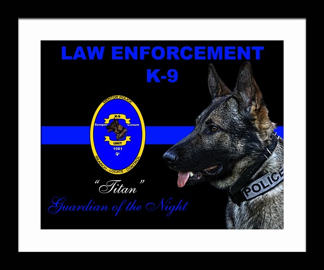 GUARDIAN OF THE NIGHT - K-9 