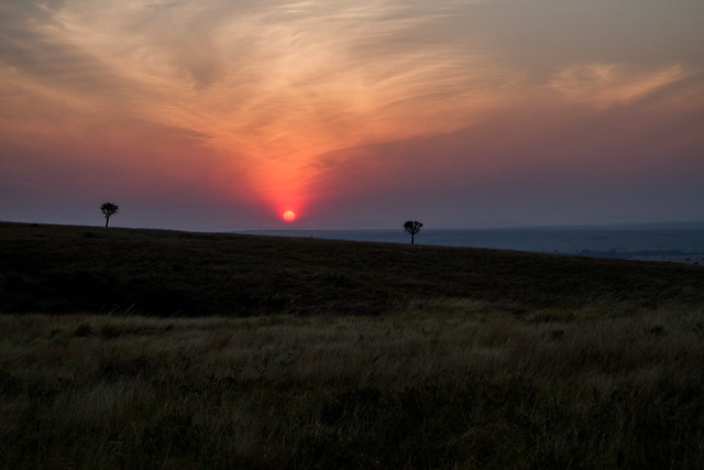 Sunrise on the Masai Mara