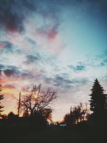 100 Day Photo Challenge by cassidymccausland, Day 36 taken with iPhone 5 no flash. I like this photo because I like how the trees and stuff look k