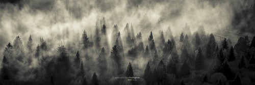 panorama fog clouds canon noiretblanc pentax pano dome nd neige nuages brouillard auvergne brume panoramique puydedome arverne sapins nd1000 loubignac rawvergnat
