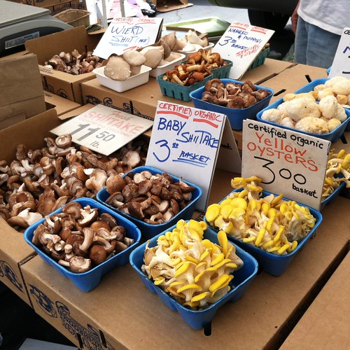 mushrooms @ Daly City Farmers' Market at Serramonte Center
