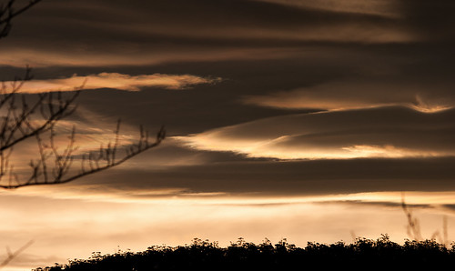 sunset sky cloud clouds canon branch sigma 10d tasmania hobart 150500mm
