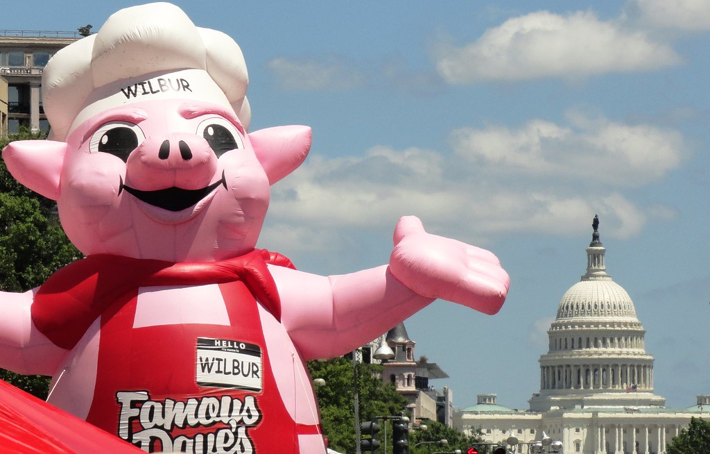 A Prominent Pig Showed up at Barbecue Battle XXI