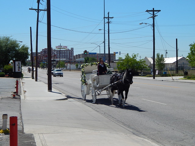 Horse trotting in Lamar