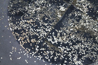Venice Biennale 2013 | Scattered coins at the Russian pavili… | Michael ...