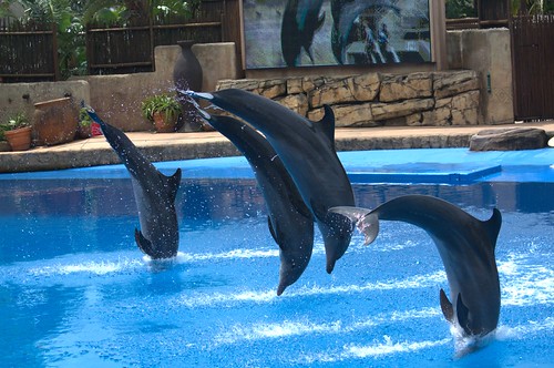uShaka Marine World