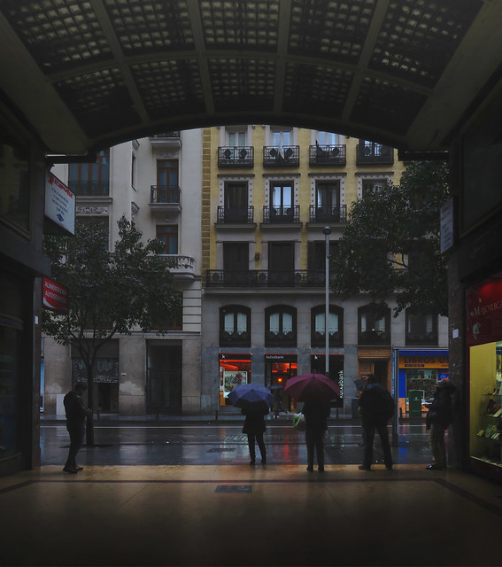 Umbrellas in Madrid (2016)