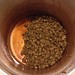 first HOP Lab output of the 2013 academic year is now in press