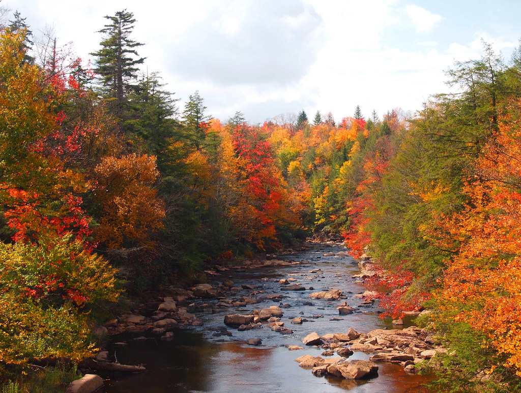 Blackwater River with fall colors - Blackwater Falls State Park, Davis, West Virginia