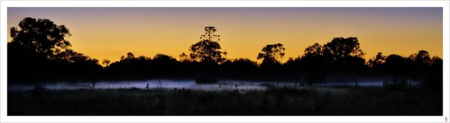 mist fog sunrise dawn nikon wetlands d90 tinchitamba stephenbird tinchitambawetlands themistoftinchitamba