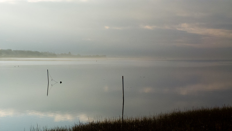 Clyst estuary, misty morning
