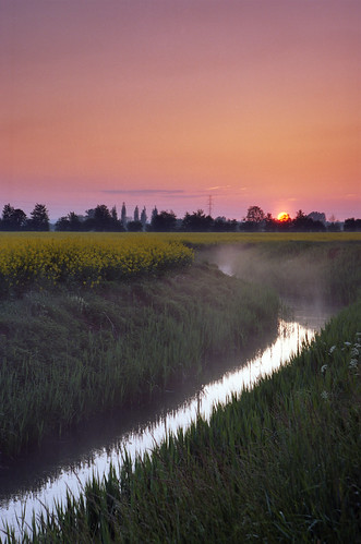 sunset sun film water grass fog analog sunrise 35mm landscape spring europa europe kodak dusk poland polska rape pole negative analogue wiosna colza canoneos300v pomorskie kodakektar żuławy