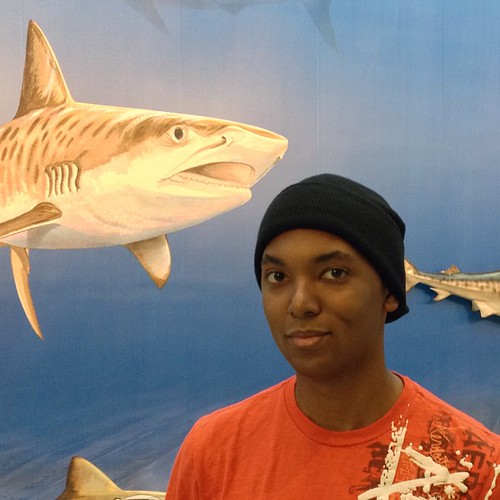 #SharkAttack | by fedwards33068