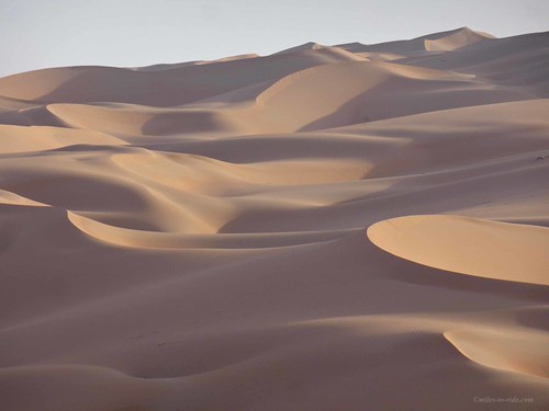 sanddunes.... | by stapsi78