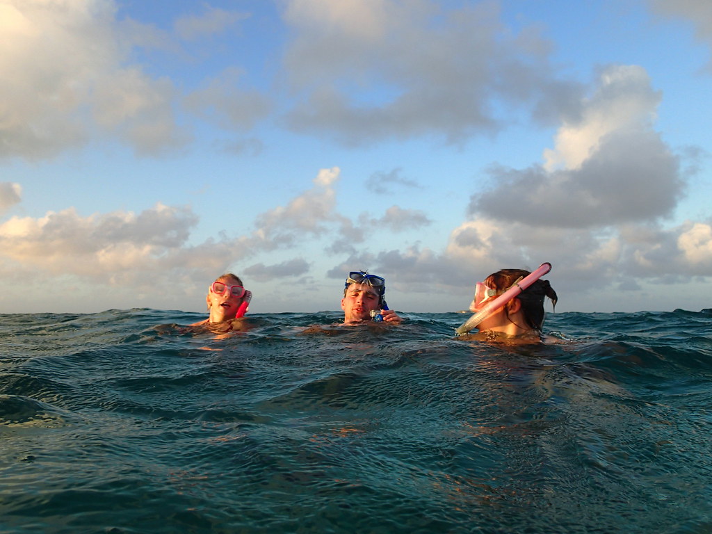 PC140070 | OLYMPUS DIGITAL CAMERA | jessica franklin | Flickr
