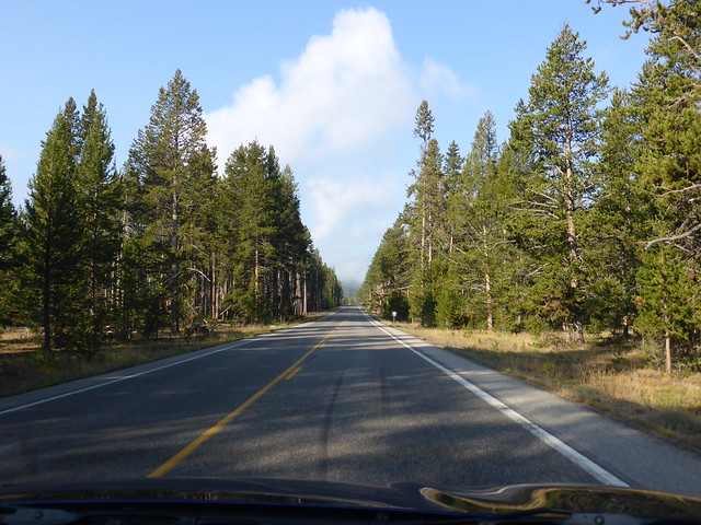 On the Road in Yellowstone NP, WY