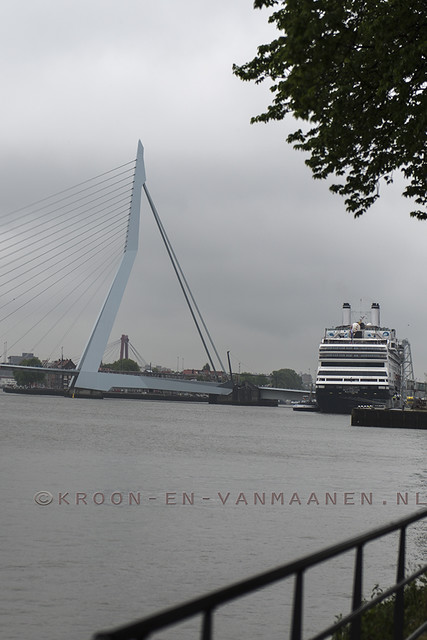 Royal Princess and the MS Rotterdam in the port of Rotterdam