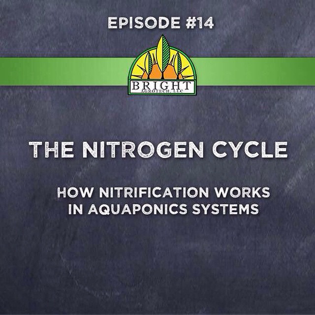 Nitrogen-9's pathetically weak nucleus astounds physicists