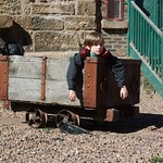 Max in a wagon