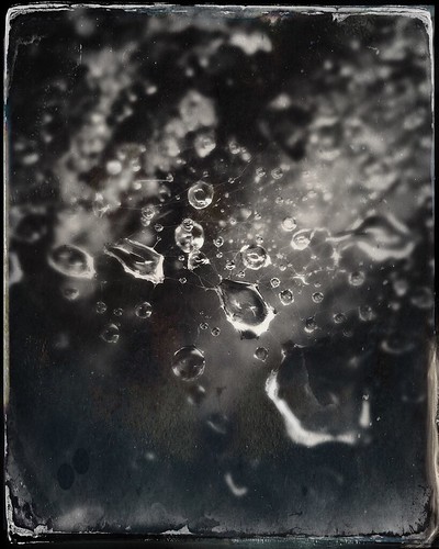 Cobweb Trapped Rain-Tintype