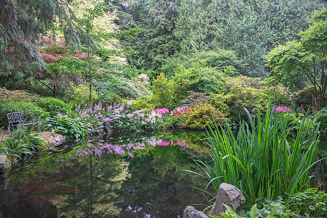 Wingswept Garden, Reflecting Ponds