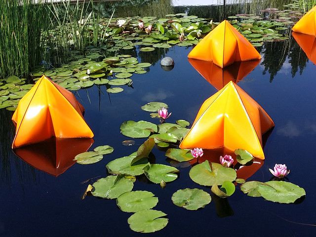 Strange Objects Floating in Pond