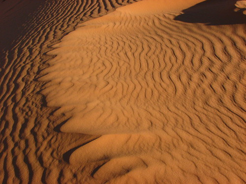 Sand Dunes 068 | by Chandler West