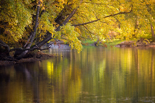 autumn reflections river nikon colours jyrki kotka d600 kymi salmi langinkoski mygearandme mygearandmepremium mygearandmebronze mygearandmesilver