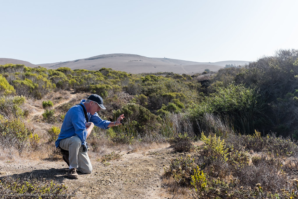 Photographer Jeff Bacon composing an image on iPhone.  Estero Bluffs State Park, just north of Cayucos, CA, 10 October 2013.