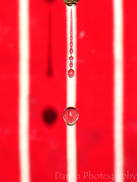 Gota de agua - Raindrop