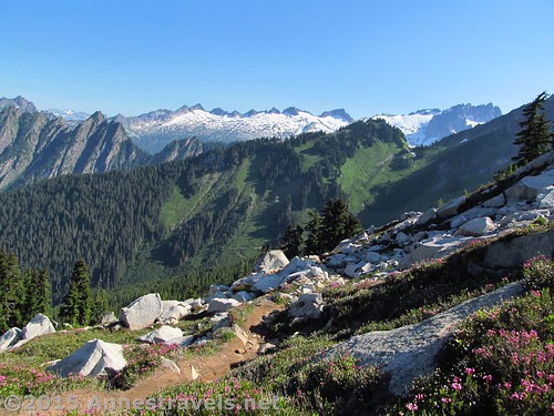 Views from the trail to Hidden Lake Saddle, North Cascades National Park, Washington