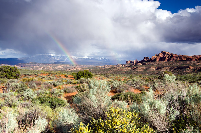 Double Rainbow in the Desert