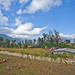 30232-013: Decentralized Rural Infrastructure and Livelihoods Project in Nepal