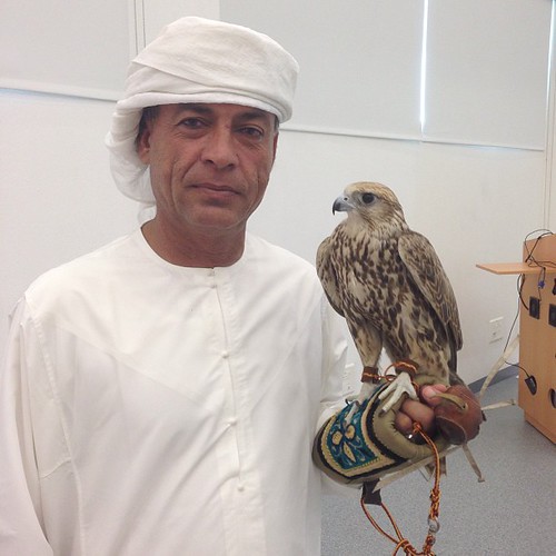 UAE's Polar Science Push Runs Through State Institutions